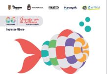 “Vieni al mare a Conversano”: la mostra/gioco dell’estate 2026