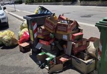 Degrado e abbandono dei rifiuti: 26 verbali in un giorno a Bari
