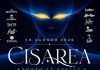 “Cisarea Sotto le Stelle”: Porto Cesareo celebra la Notte di San Lorenzo