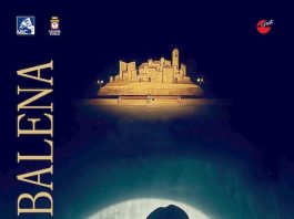 Taranto, ai Giochi del Mediterraneo c’è “Ninì e la balena”