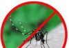 Barletta, disinfestazione adulticida nella notte tra il 16 e il 17 settembre