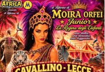 A Cavallino il grande Circo Africa dal 23 ottobre al 15 novembre