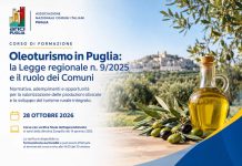 Oleoturismo in Puglia, domani a Bari incontro con i Comuni sulla Legge regionale n. 9/2025