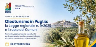 Oleoturismo in Puglia, domani a Bari incontro con i Comuni sulla Legge regionale n. 9/2025