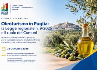 Oleoturismo in Puglia, domani a Bari incontro con i Comuni sulla Legge regionale n. 9/2025