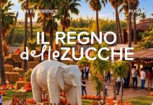 Per Halloween Il “Regno delle Zucche” all’Elephant Park di Marina di Ginosa